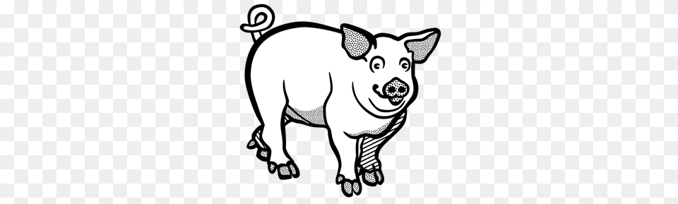 Flying Pig Clipart, Animal, Mammal, Hog, Kangaroo Free Transparent Png