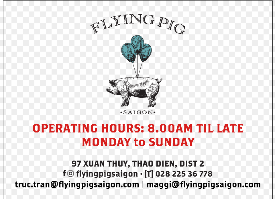 Flying Pig Saigon 97 Xuan Thuy Thao Dien Dist Papier Tigre, Advertisement, Poster, Balloon, Flower Png
