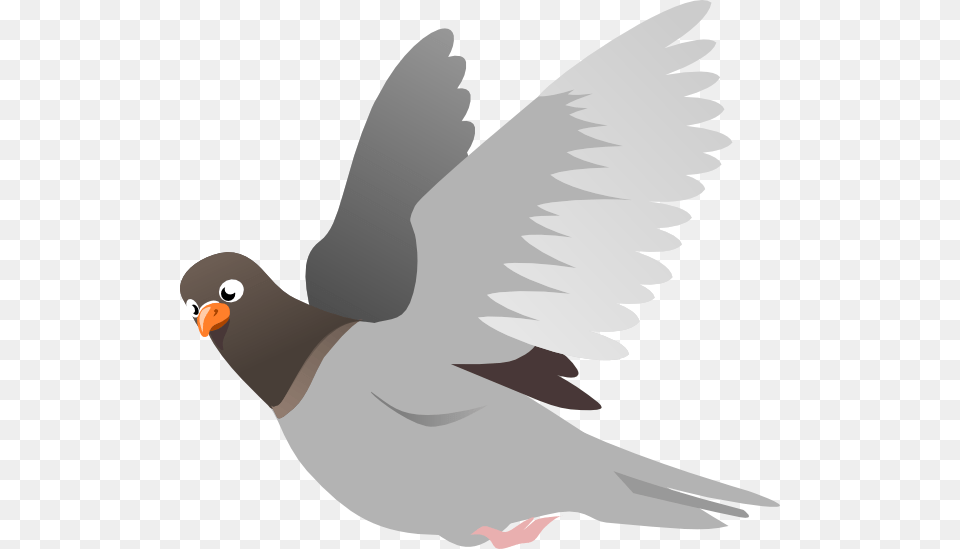 Flying Pigeon Clipart, Animal, Bird, Fish, Sea Life Free Png