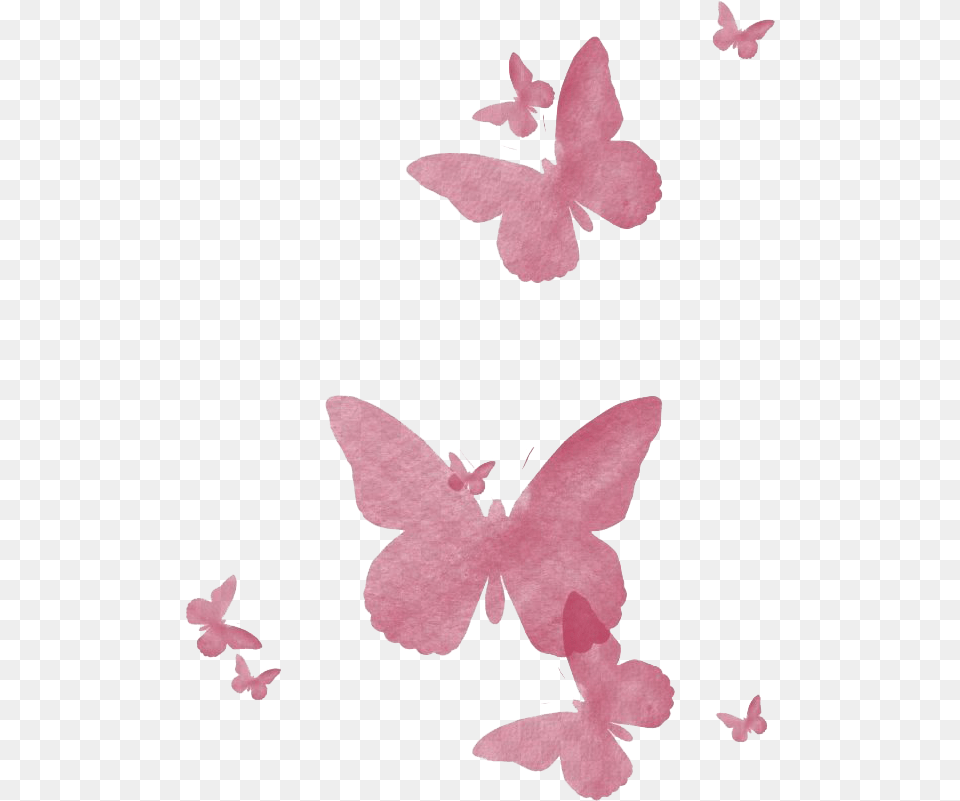 Flying Pink Butterfly Transparent Pink Butterfly Watercolor, Flower, Petal, Plant, Orchid Png Image