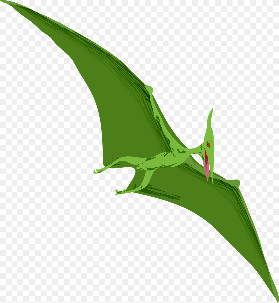 Flying Pterosaur Clipart, Animal, Anole, Reptile, Wildlife Free Png