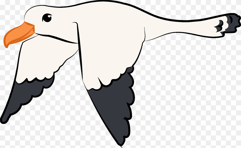 Flying Seagull Clipart, Animal, Beak, Bird, Person Png Image