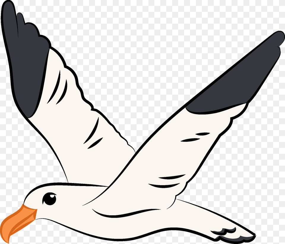 Flying Seagull Clipart, Waterfowl, Animal, Beak, Bird Free Transparent Png