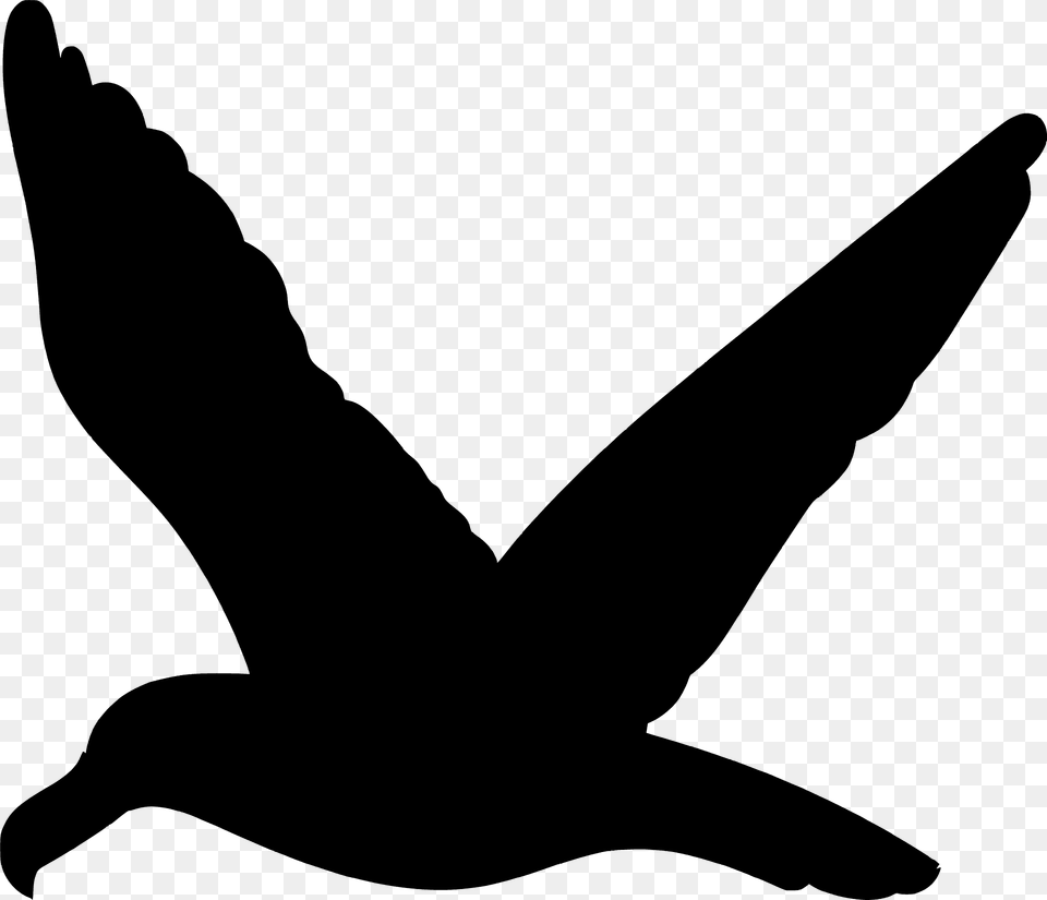 Flying Seagull Silhouette, Animal, Bird, Waterfowl, Person Free Png Download