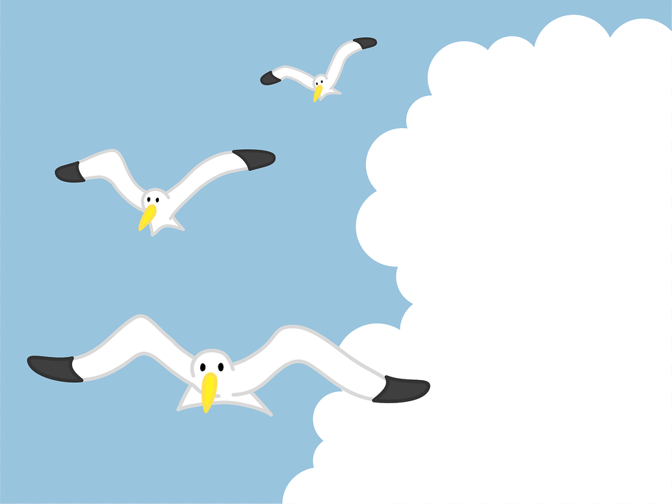 Flying Seagulls Clipart, Animal, Bird, Seagull, Waterfowl Png Image