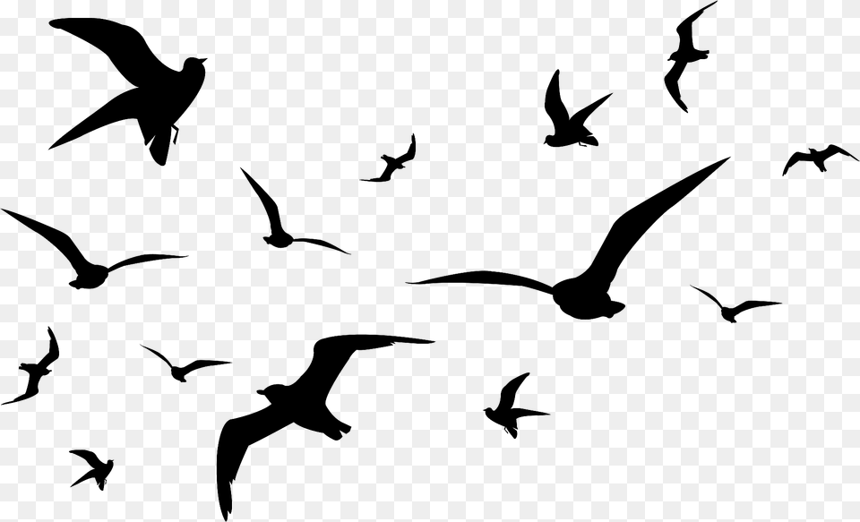 Flying Seagulls Silhouette Clipart, Animal, Bird, Flock Free Png Download