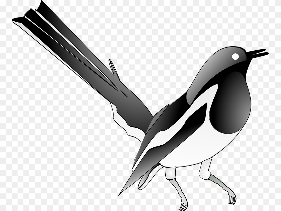 Flying Songbird Vectors, Animal, Bird, Magpie, Blade Png Image