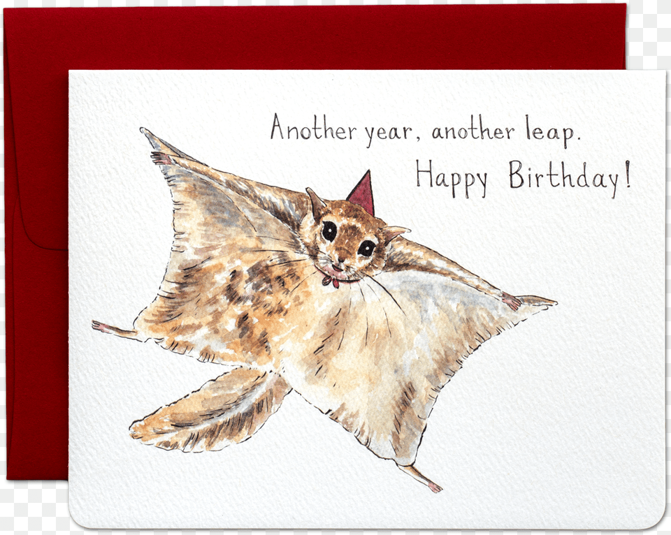 Flying Squirrel Birthday Card, Animal, Bird Png
