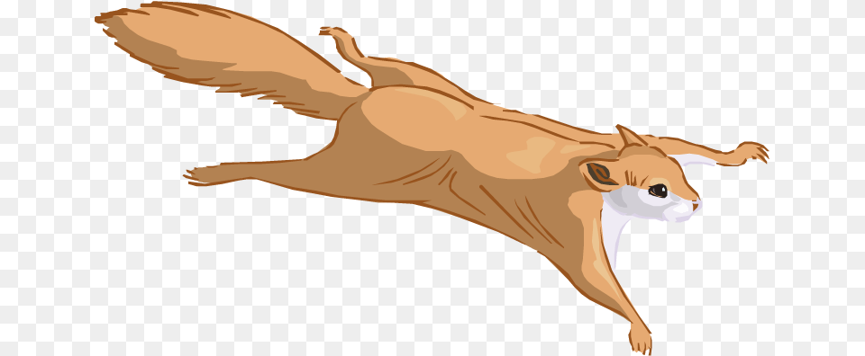 Flying Squirrel Clipart Flying Squirrel Cartoon, Animal, Mammal, Rodent, Fish Free Png