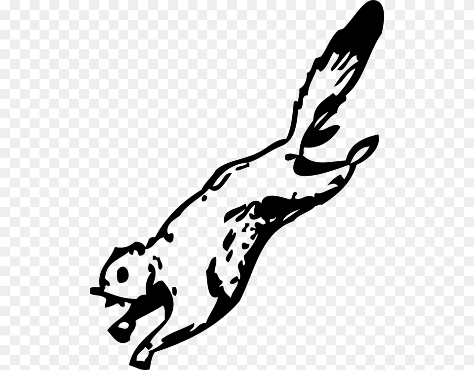 Flying Squirrel Coloring Book Sandy Cheeks, Gray Png