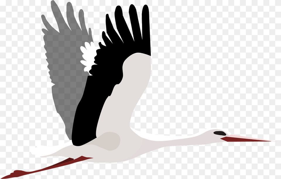 Flying Stork Black And White Clipart, Animal, Bird, Crane Bird, Waterfowl Png Image