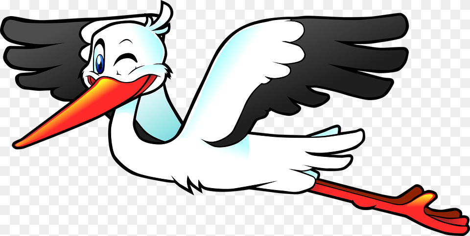 Flying Stork Clipart, Animal, Bird, Waterfowl, Fish Free Transparent Png
