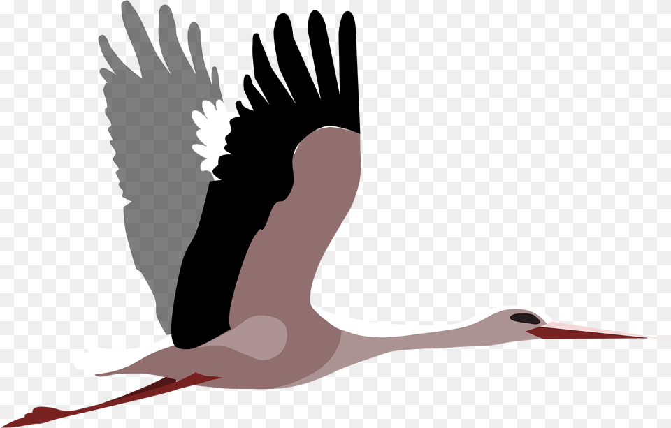 Flying Stork Clipart, Animal, Bird, Waterfowl, Crane Bird Free Transparent Png