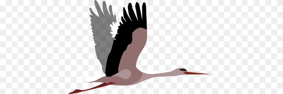 Flying Stork Vector Image, Animal, Bird, Waterfowl, Beak Free Png Download
