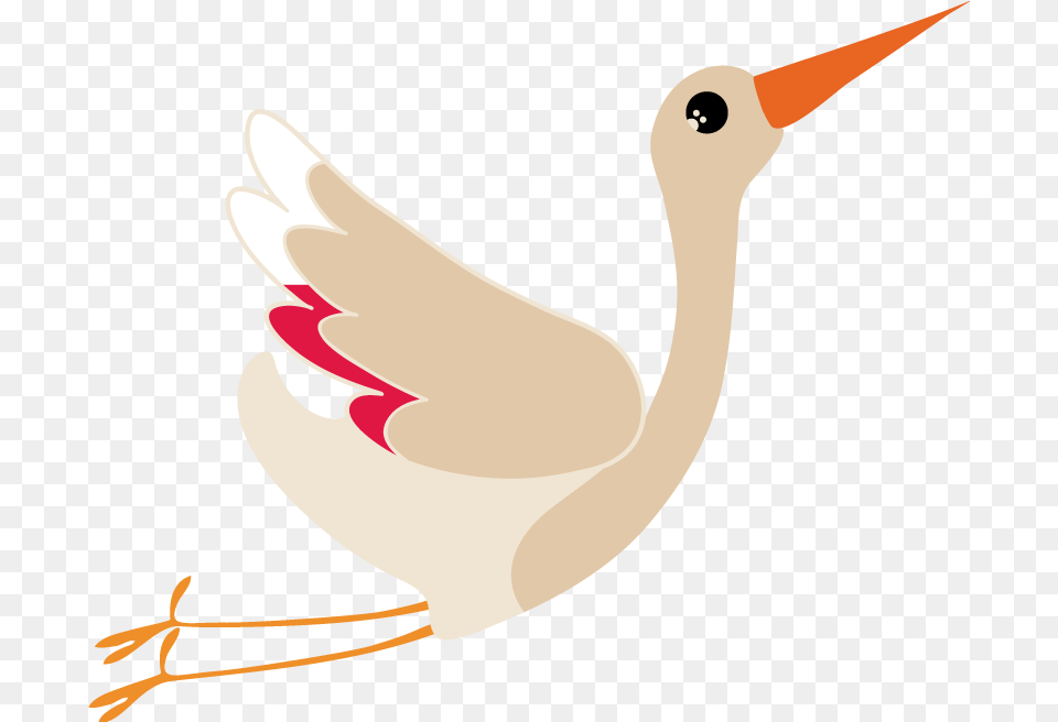 Flying Stork Wall Sticker, Animal, Beak, Bird, Crane Bird Png