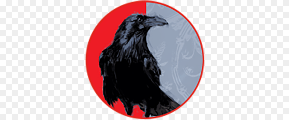 Flying Tiger Final Resting Place Double Ipa American Crow, Animal, Bird, Blackbird Free Transparent Png