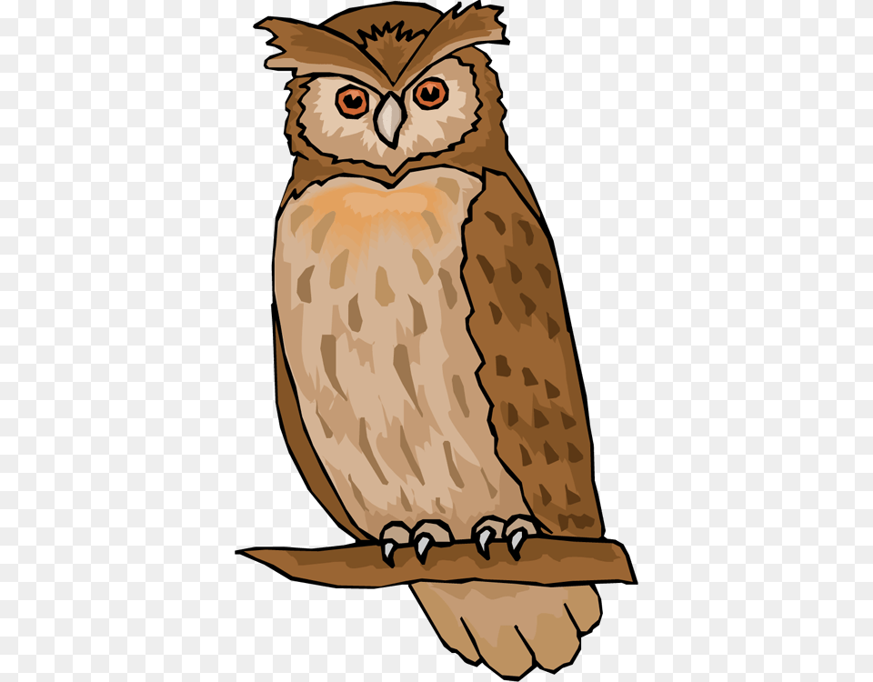 Flying Vector Barn Owl Clipart Image Of Owl, Animal, Bird, Person, Face Free Png Download