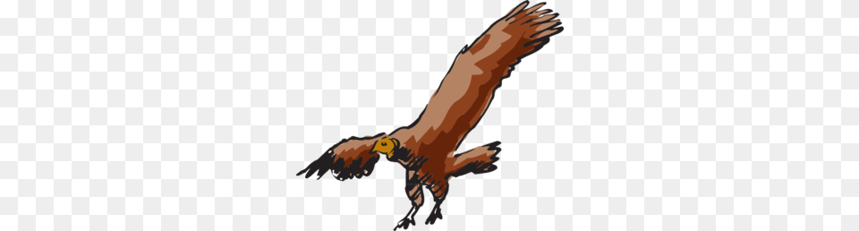 Flying Vulture Clip Art, Animal, Bird, Baby, Person Free Png