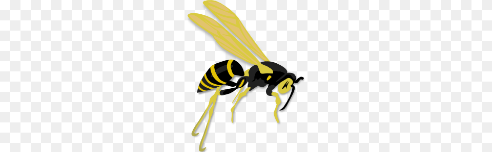 Flying Wasp Clip Art, Animal, Bee, Insect, Invertebrate Free Transparent Png