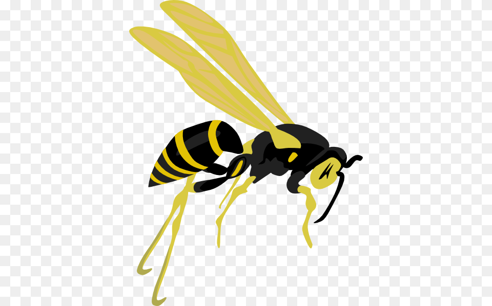 Flying Wasp Clip Art Free Vector, Animal, Bee, Insect, Invertebrate Png