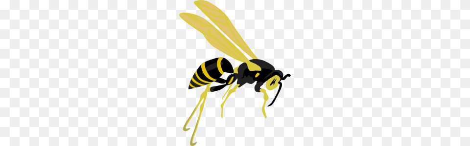 Flying Wasp Clip Art Vector, Animal, Bee, Insect, Invertebrate Png