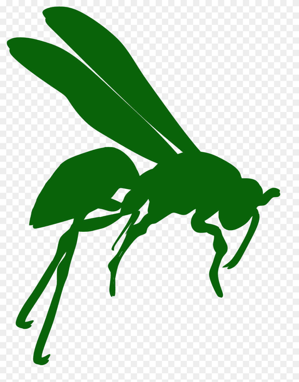 Flying Wasp Silhouette, Animal, Bee, Insect, Invertebrate Free Png Download