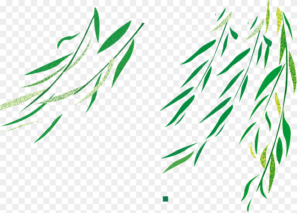 Flying Willow Transparent, Grass, Green, Herbal, Herbs Free Png Download