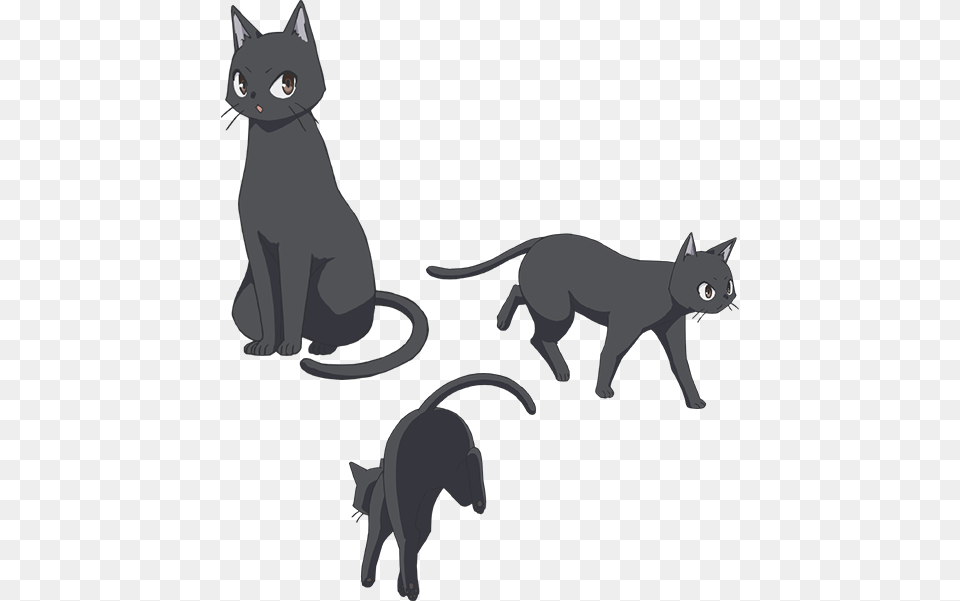Flying Witch Anime Cat, Animal, Mammal, Pet, Egyptian Cat Free Transparent Png