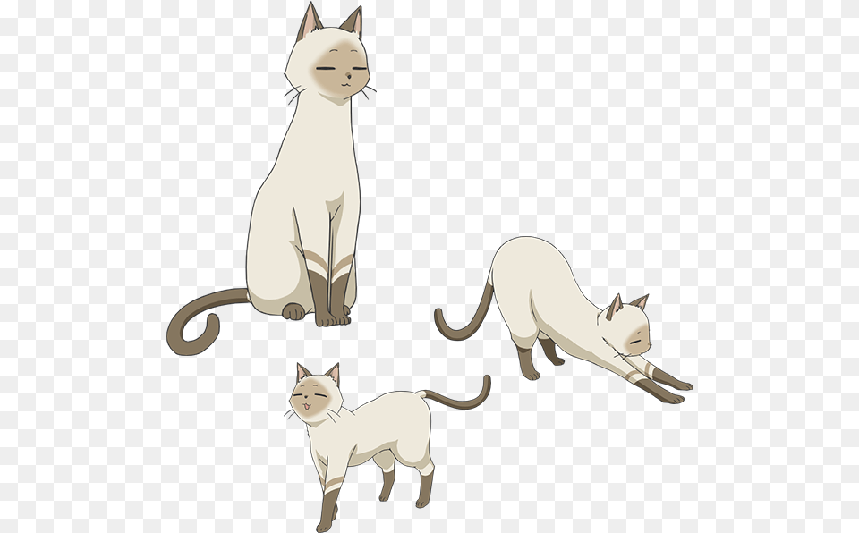 Flying Witch Anime Cat Flying Witch Anime Cat, Animal, Canine, Dog, Mammal Png Image