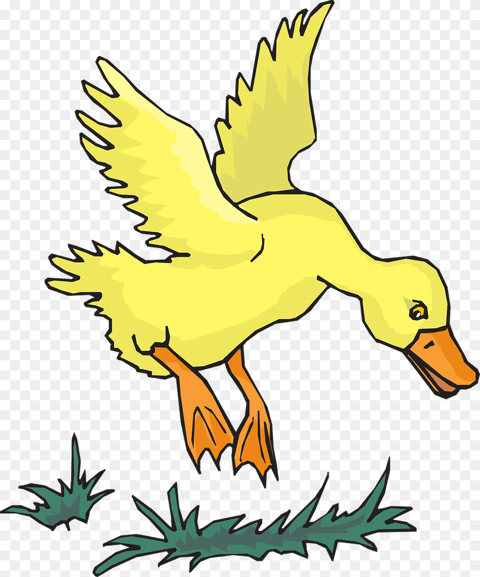 Flying Yellow Duck, Animal, Bird, Waterfowl, Baby Free Transparent Png