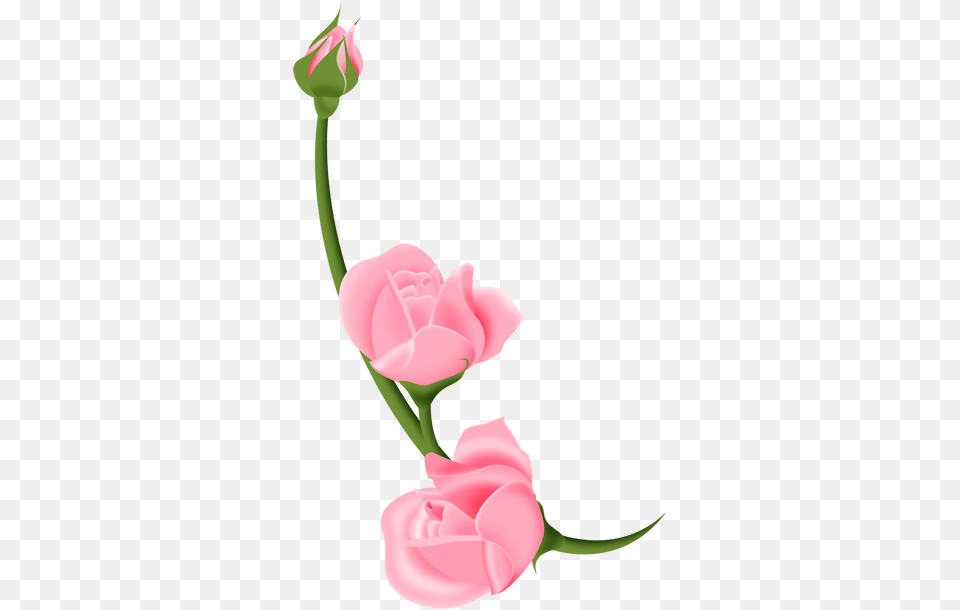 Fm Bt Just Married Element Flowers Flowers, Flower, Plant, Rose, Baby Free Transparent Png