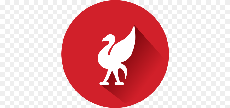 Fm Cases Bird, Disk Png