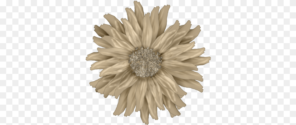 Fm Nature Element 5 Boa Noite Com Carinho, Dahlia, Daisy, Flower, Plant Png Image