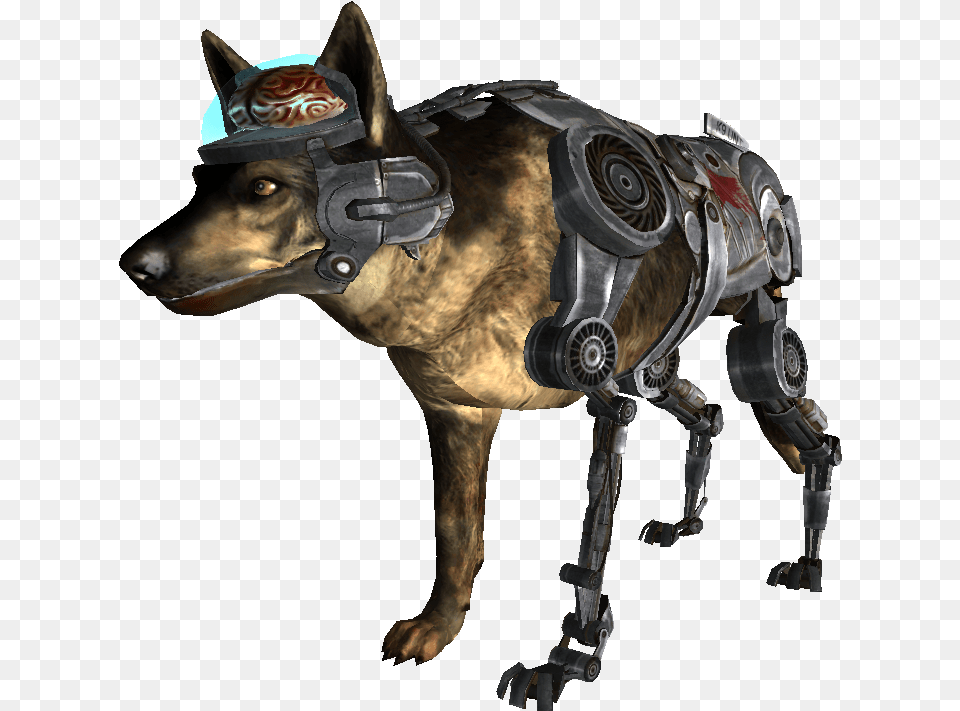 Fnvrex Cyberdog Fallout Wiki Fallout Nv Rex Fan Art, Animal, Canine, Dog, Mammal Free Png