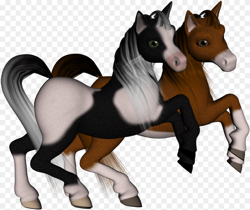 Foal, Adult, Female, Person, Woman Png