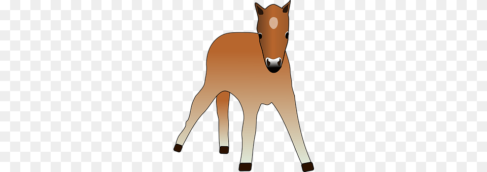 Foal Animal, Mammal, Cattle, Livestock Png