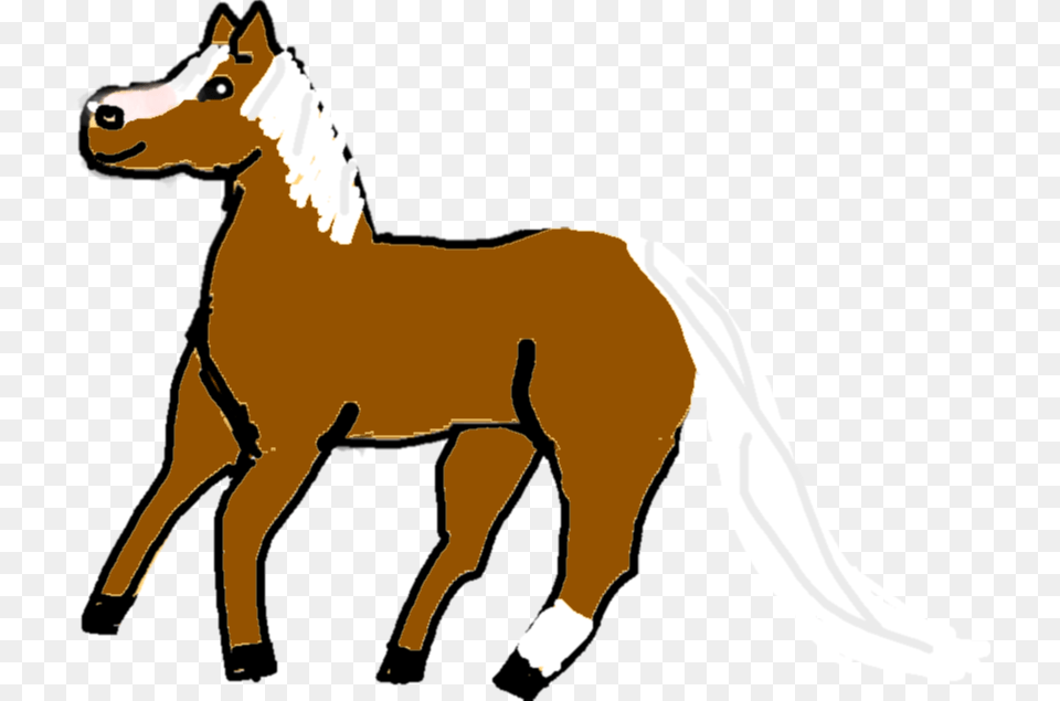 Foal, Horse, Animal, Colt Horse, Mammal Free Transparent Png