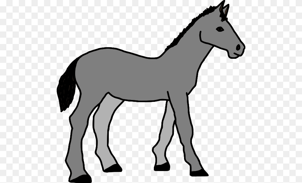 Foal Clipart, Animal, Mammal, Horse, Colt Horse Png