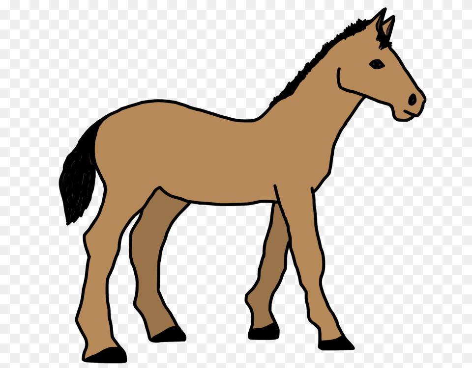 Foal Horse Pony Mule Colt, Animal, Colt Horse, Mammal, Canine Png