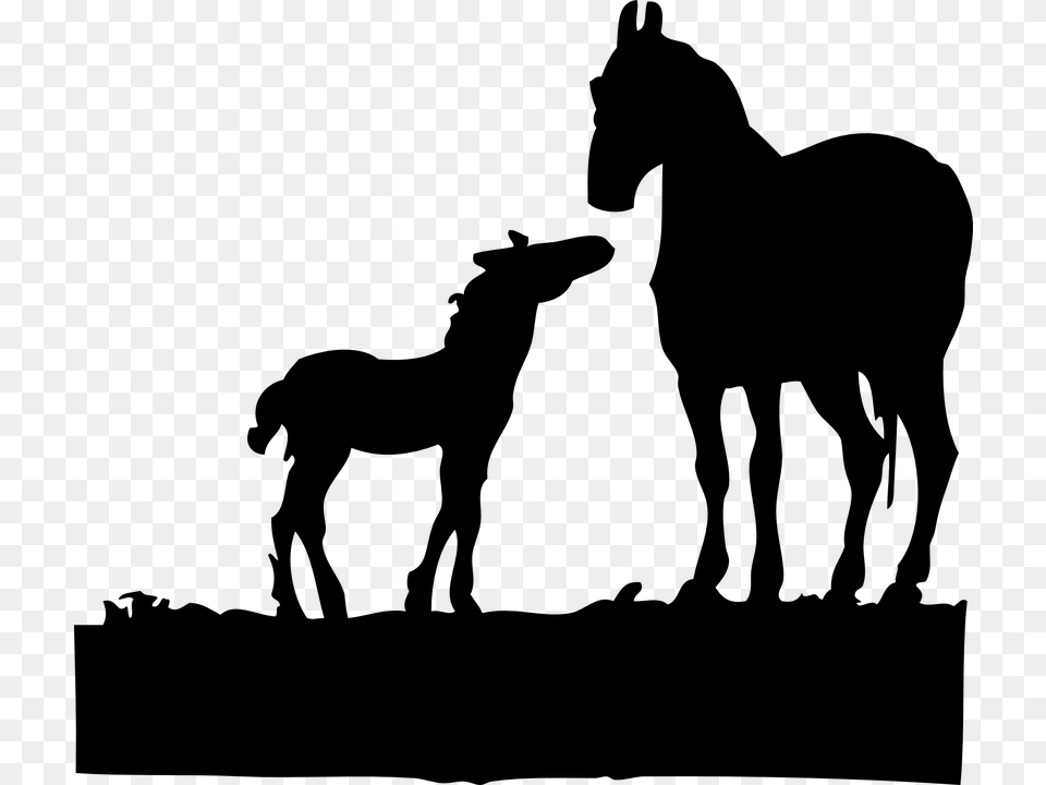 Foal Horses Silhouette Animals Mare Standing Mare And Foal Silhouette, Gray Png