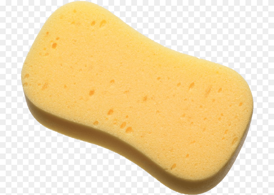 Foam Sponge Image With No Sponge Free Png