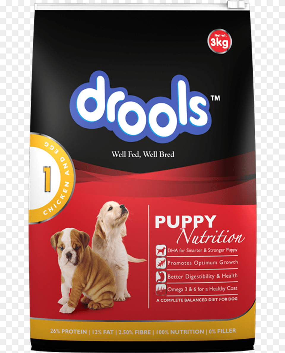 Focus Drools Dog Food, Advertisement, Poster, Animal, Canine Free Png Download