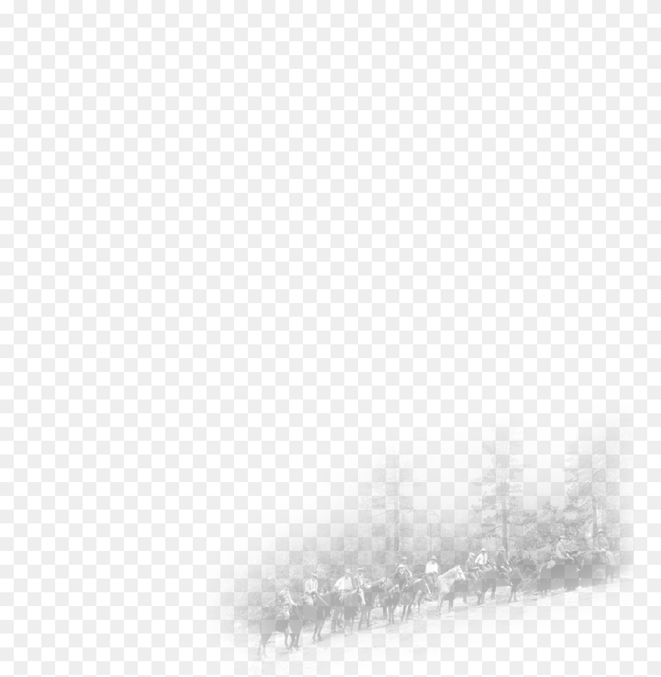 Fog, Person, People, Tree, Plant Free Transparent Png