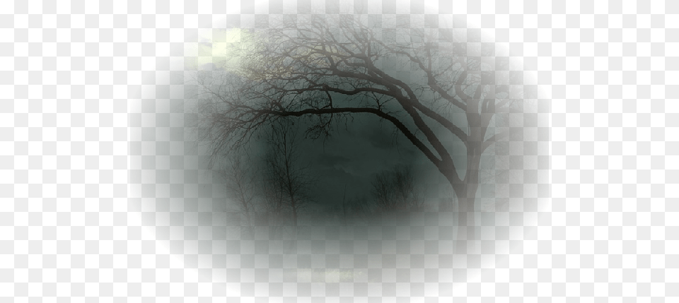 Fog, Weather, Photography, Outdoors, Night Png Image
