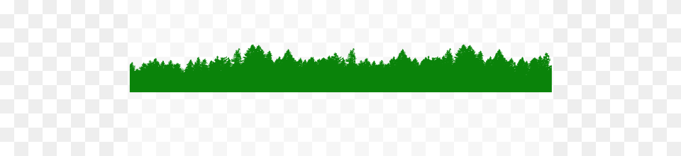 Fog Over The Forest Pixel Picture, Fir, Vegetation, Green, Tree Free Png Download
