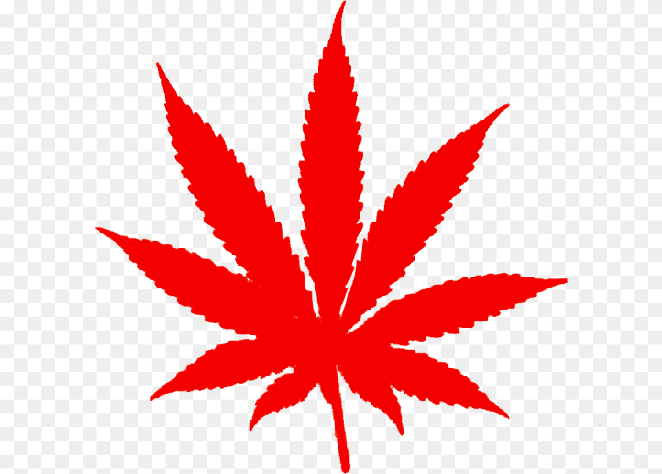 Foglia Di Marijuana Marijuana Leaf, Plant, Food, Ketchup Png Image