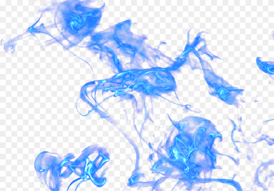 Fogo Azul, Animal, Sea Life, Invertebrate, Jellyfish Png