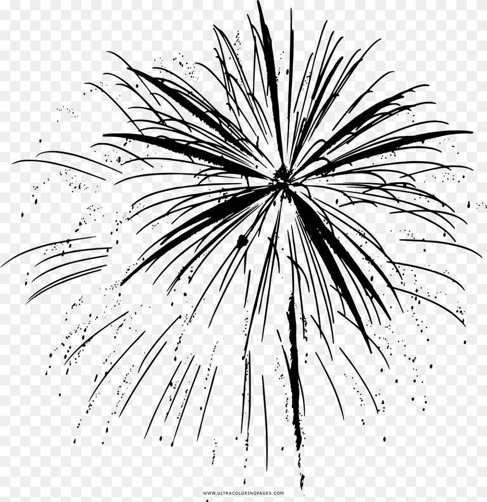 Fogos De Artifcio Coloring, Gray Free Png Download