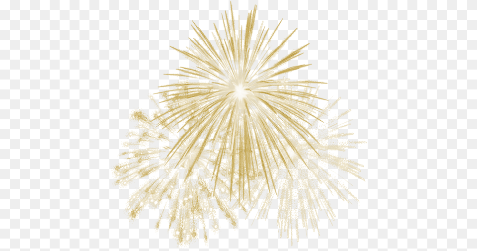 Fogosdeartificio Fogos Party Festa Gold Golden Ouro Gold Fireworks White Background, Lighting, Animal, Bird Png Image