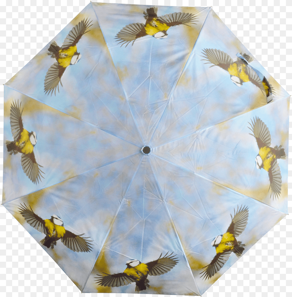 Foldable Umbrella Ass Umbrella, Animal, Bird, Canopy Free Png Download